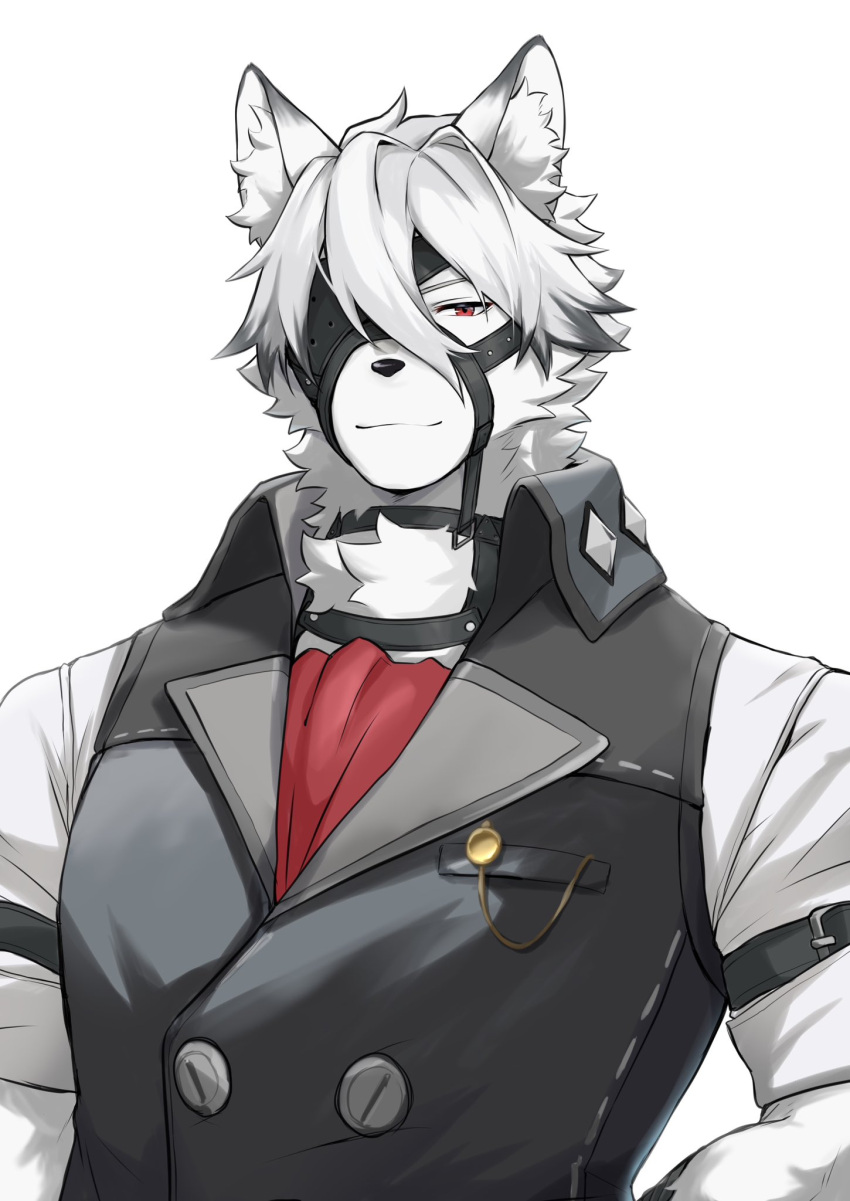 1boy, animal_ears, ascot, closed_mouth, colored_tips, commentary_request, eyepatch, furry