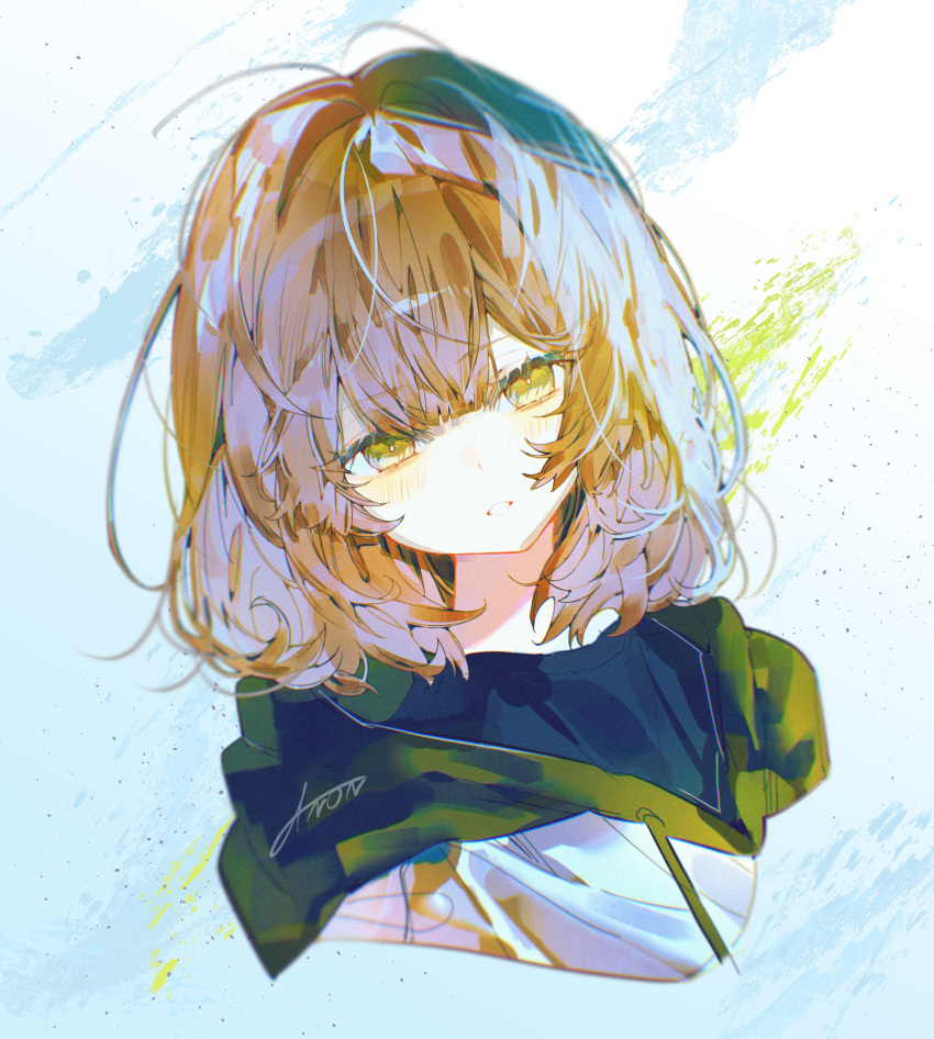 absurdres, anon_qwat, brown_hair, commentary_request, green_eyes, highres, hood, hoodie