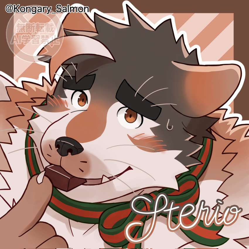 1boy, animal_ears, animal_nose, artist_name, blush, brown_fur, character_name, chocolate, claws, collar, commentary_request, dog_boy, dog_ears, eating, furrowed_brow, furry, furry_male, highres, kongary_salmon, live_a_hero, looking_at_viewer, male_focus, open_mouth, sterio_(live_a_hero), sweatdrop, twitter_username, whiskers
