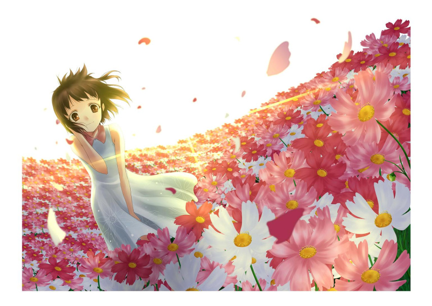 adjusting_hair, akafuku, brown_eyes, brown_hair, dutch_angle, fisheye, flower, flower_field