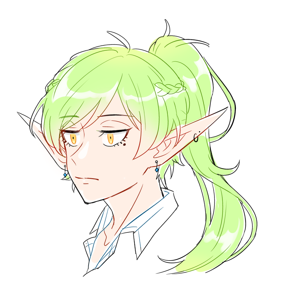 1boy, androgynous, braid, closed_mouth, design_speculation, elf, green_hair, jitome