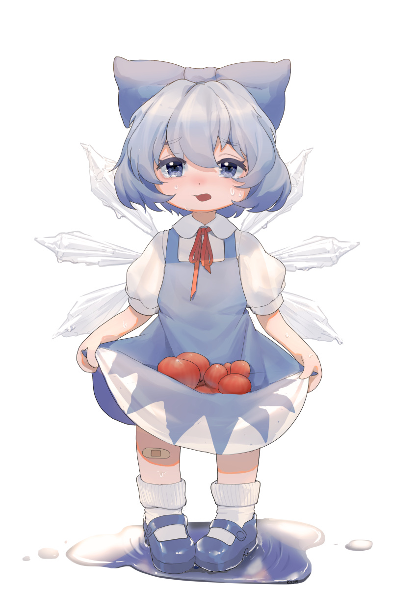 1girl, abi_(kabe), absurdres, blue_bow, blue_dress, blue_eyes, blue_hair, blue_shoes, bow, chinese_commentary, cirno, collared_shirt, commentary_request, deformed, detached_wings, dress, full_body, hair_bow, highres, ice, ice_wings, looking_at_viewer, mary_janes, melting, neck_ribbon, open_mouth, pinafore_dress, puddle, puffy_short_sleeves, puffy_sleeves, red_ribbon, ribbon, shirt, shoes, short_hair, short_sleeves, simple_background, skirt_basket, sleeveless, sleeveless_dress, socks, solo, tomato, touhou, transparent_background, white_shirt, white_socks, wings