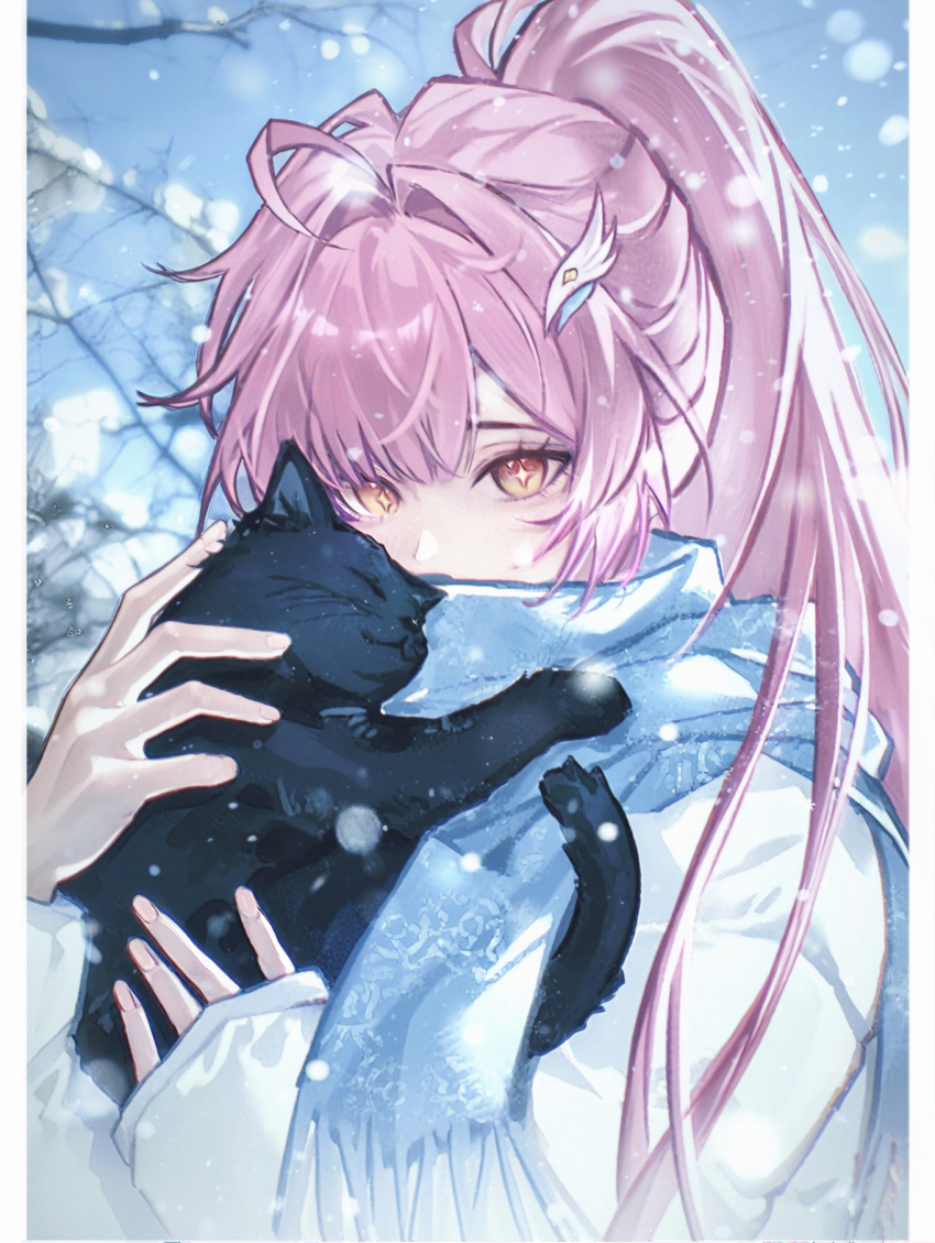 1girl, aemeath_(wuthering_waves), ahoge, animal, black_cat, blue_scarf, cat, chinese_commentary