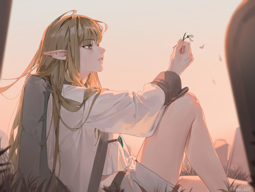 1girl, absurdres, against_tombstone, bare_legs, blonde_hair, brown_eyes, commentary_request, dusk, earclip, elf, falling_petals, flower, from_side, gem, green_gem, hair_flowing_over, highres, holding, holding_flower, knee_up, long_hair, looking_ahead, outdoors, parted_lips, petals, pointy_ears, robe, serie_(sousou_no_frieren), shorts, sitting, soar_wle, solo, sousou_no_frieren, white_petals, white_robe, white_shorts