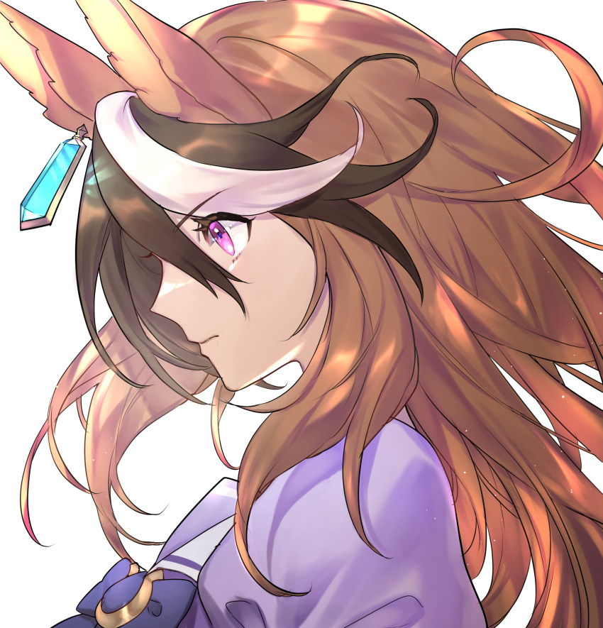 1girl, animal_ears, blue_sailor_collar, bow, bowtie, brown_hair, closed_mouth, commentary_request