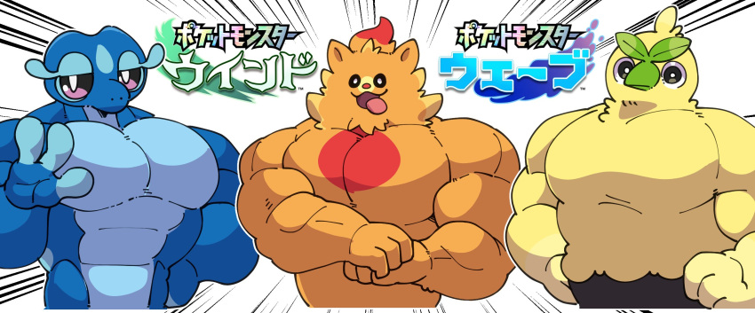 blue_skin, browt, colored_skin, commentary_request, copyright_name, feathers, flexing, gecqua, hand_on_own_hip, highres, looking_at_viewer, muscular, open_mouth, orange_fur, pokemon_ww, pombon, sharkinn, smile, tongue, tongue_out, yellow_feathers