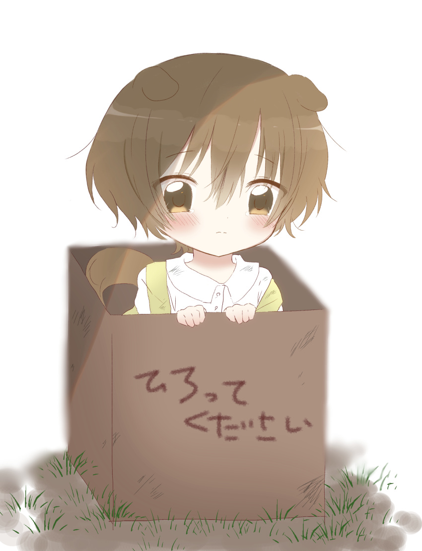 1boy, absurdres, animal_ears, blush, box, brown_eyes, brown_hair, brown_tail