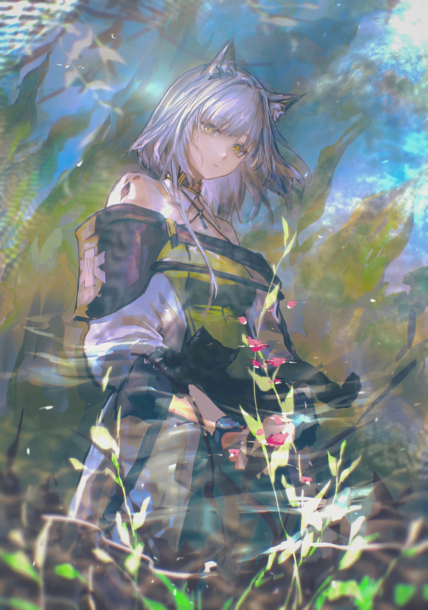 1girl, absurdres, animal_ear_fluff, animal_ears, arknights, bare_shoulders, breasts, cat_ears, cat_girl, chinese_commentary, closed_mouth, commentary_request, cowboy_shot, dress, green_dress, green_eyes, grey_hair, highres, kal'tsit_(arknights), long_sleeves, looking_at_viewer, material_growth, miean_(xieji081), off-shoulder_dress, off-shoulder_jacket, off_shoulder, oripathy_lesion_(arknights), plant, reflection, reflective_liquid, short_hair, solo, standing, water