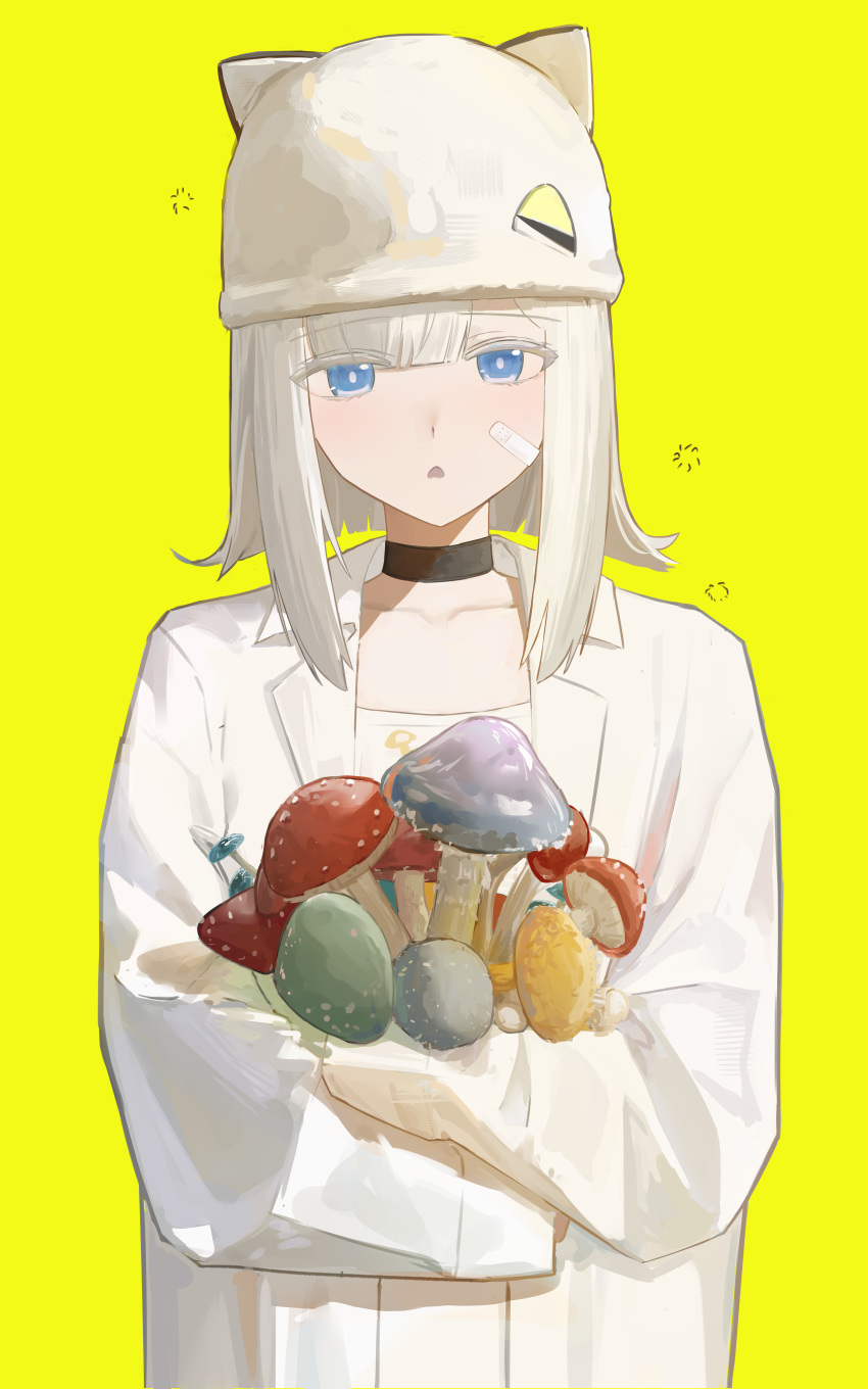 1girl, absurdres, animal_ears, arknights, arknights:_endfield, bandaid, bandaid_on_face, blue_eyes