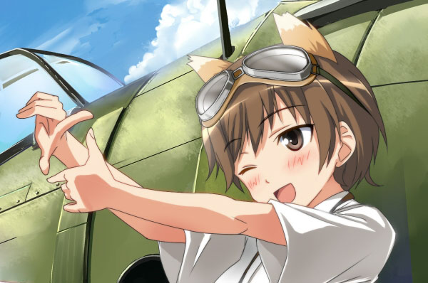 airplane, animal_ears, artist_request, blush, brown_eyes, brown_hair, goggles, goggles_on_head