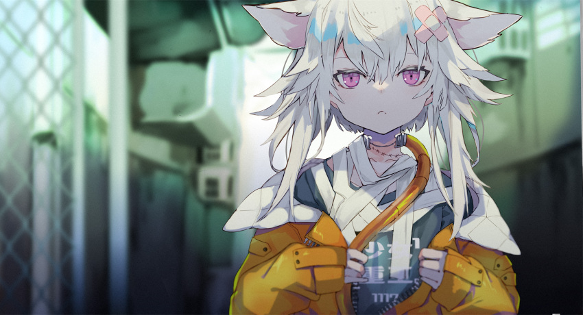 1girl, :<, animal_ears, bandages, bandaid, bandaid_hair_ornament, blurry, blurry_background, body_tube, cat_ears, cat_girl, chain-link_fence, fence, green_shirt, hair_ornament, hands_up, highres, jacket, jacket_partially_removed, looking_at_viewer, off_shoulder, original, pink_eyes, shiromiso, shirt, slit_pupils, stitched_neck, stitches, white_hair