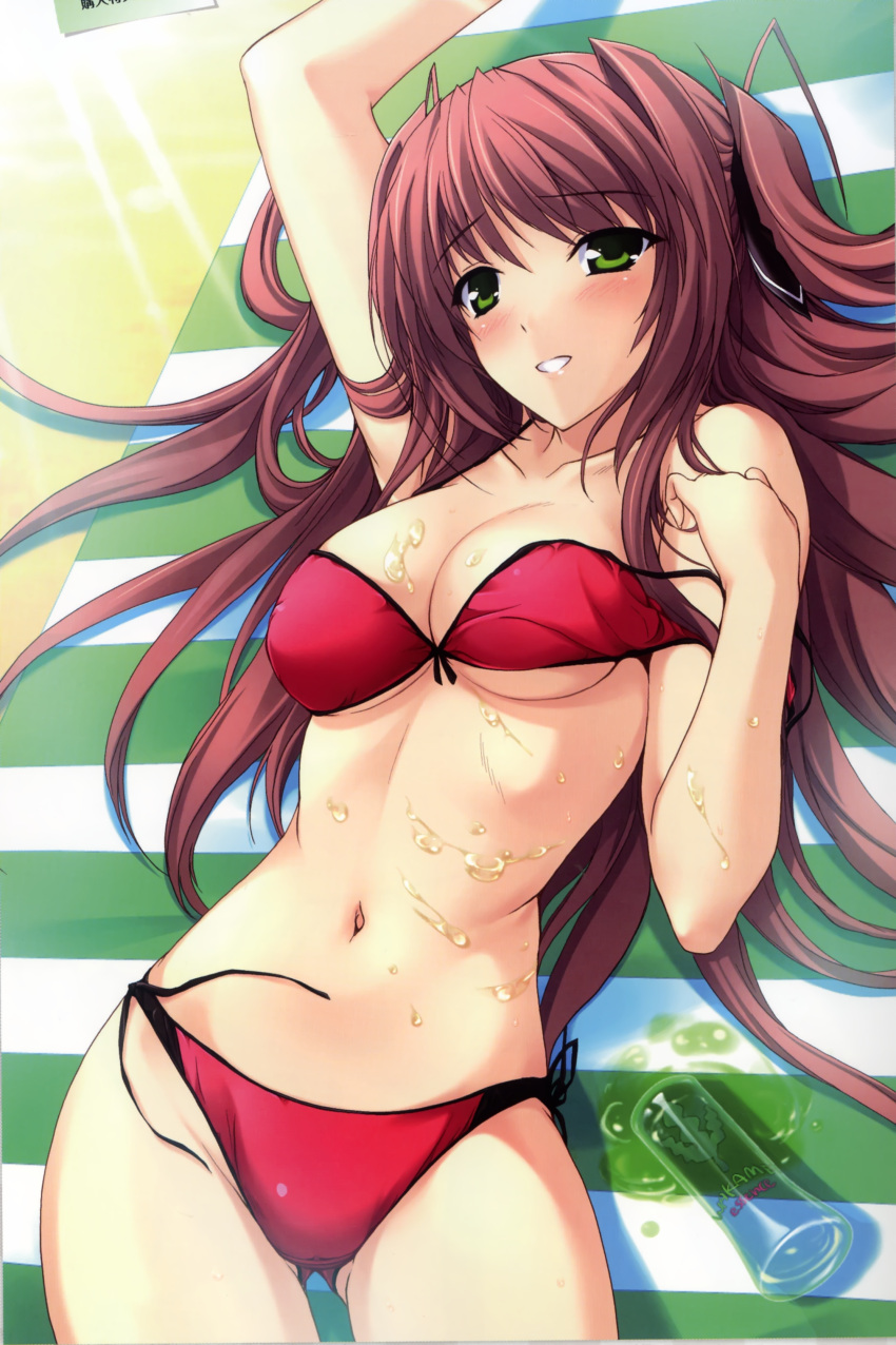abs, artist_request, belly, bikini, blush, breasts, brown_hair, cleavage