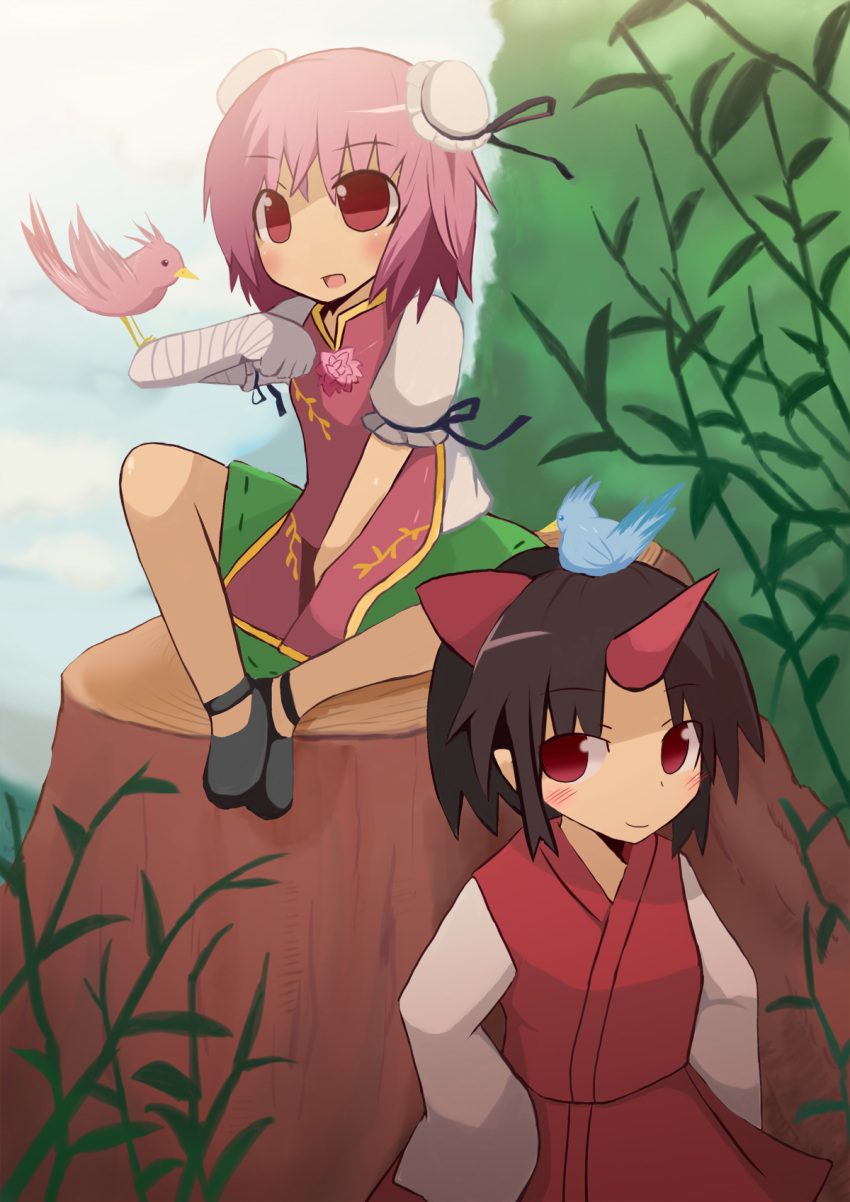 animal_on_head, bandages, bird, bird_on_arm, bird_on_head, black_hair, blush, bun_cover