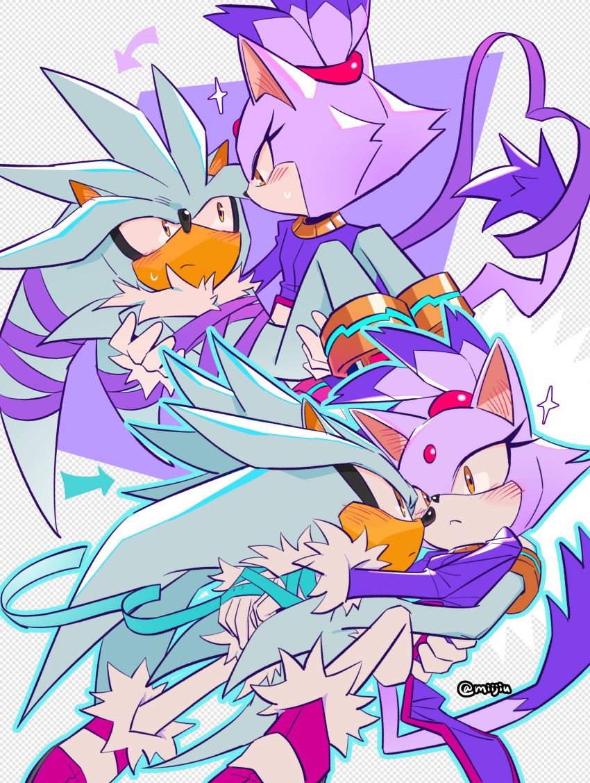 1boy, 1girl, absurdres, animal_ears, animal_nose, arrow_(symbol), blaze_the_cat, blue_outline