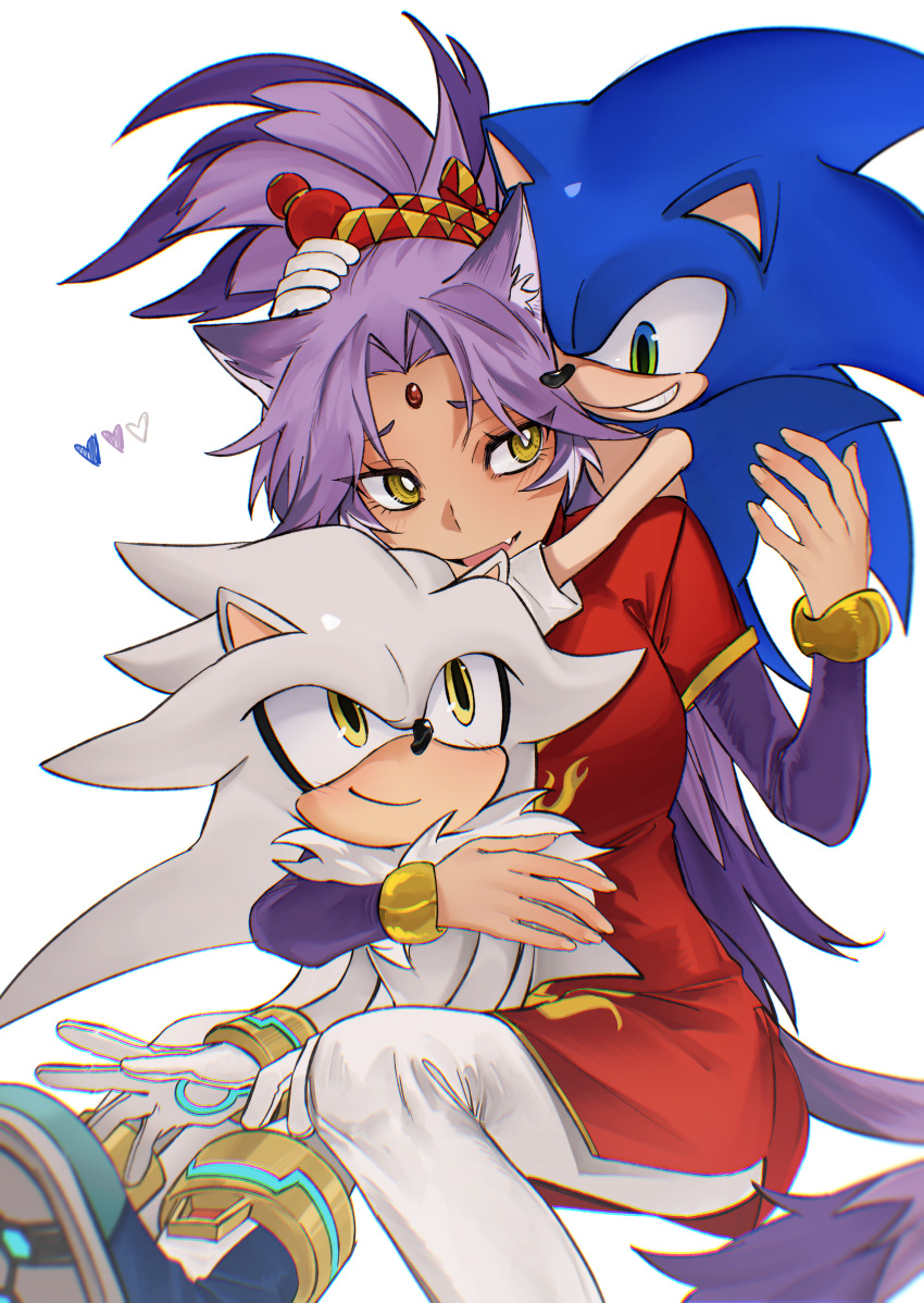 1girl, 2boys, absurdres, alternate_costume, animal_ears, blaze_the_cat, cat_ears, cat_girl, cat_tail, china_dress, chinese_clothes, dress, forehead_jewel, furry, furry_male, green_eyes, heart, hedgehog_boy, highres, hug, humanization, multiple_boys, pants, purple_hair, red_dress, satosi_peter, silver_the_hedgehog, simple_background, smile, sonic_(series), sonic_the_hedgehog, tail, topknot, white_background, white_pants, yellow_eyes