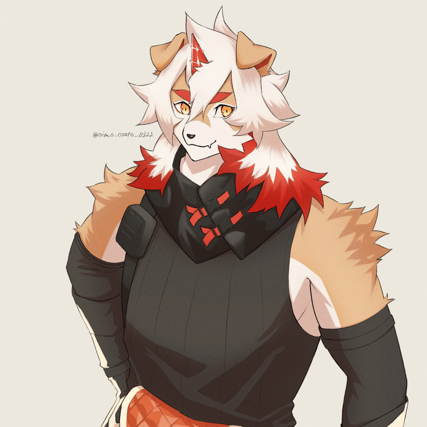 1boy, absurdres, arknights, artist_name, black_shirt, closed_mouth, colored_tips, fang, fang_out, furry, furry_male, highres, horns, hung_(arknights), komainu_boy, komainu_ears, looking_to_the_side, male_focus, multicolored_hair, oimo_osato_0322, shirt, single_horn, skin_fang, sleeveless, sleeveless_shirt, smile, twitter_username, upper_body, white_background