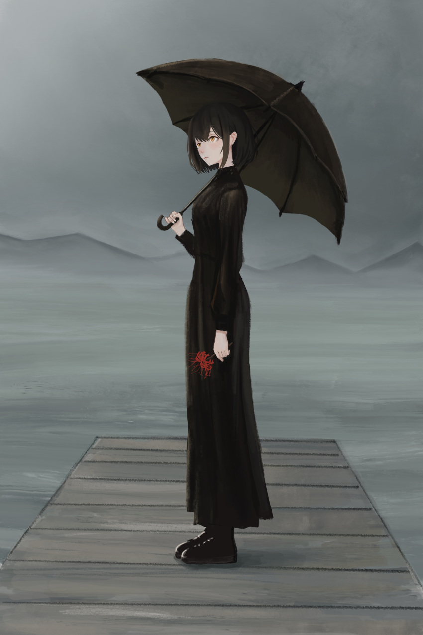 1girl, absurdres, black_shoes, black_umbrella, diky, dress, flower, from_side