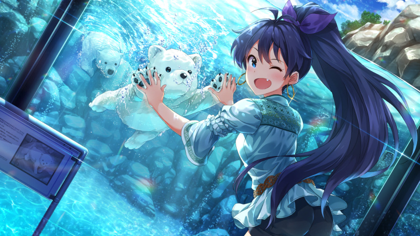 1girl, ;d, animal, antenna_hair, bear, bear_cub, blue_eyes, blue_shirt, card_commentary, commentary_request, dutch_angle, earrings, fang, game_cg, ganaha_hibiki, hoop_earrings, idolmaster, idolmaster_(classic), idolmaster_million_live!, idolmaster_million_live!_theater_days, jewelry, long_hair, looking_at_viewer, looking_back, official_art, one_eye_closed, open_mouth, polar_bear, ponytail, shirt, smile, solo, standing, third-party_source, water, zoo
