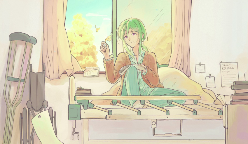 1boy, 4yr3ht4, bed, book, book_stack, bookmark, brown_cardigan, cardigan, closed_mouth, commentary, crutch, ensemble_stars!, ginkgo_leaf, green_hair, highres, holding, holding_book, holding_leaf, hospital, hospital_bed, hospital_gown, indoors, kazehaya_tatsumi, layered_sleeves, leaf, long_sleeves, looking_at_object, low_ponytail, male_focus, mole, mole_under_eye, no_shoes, on_bed, open_book, open_window, ponytail, reading, sitting, smile, socks, solo, striped_clothes, violet_eyes, wheelchair, white_socks, window