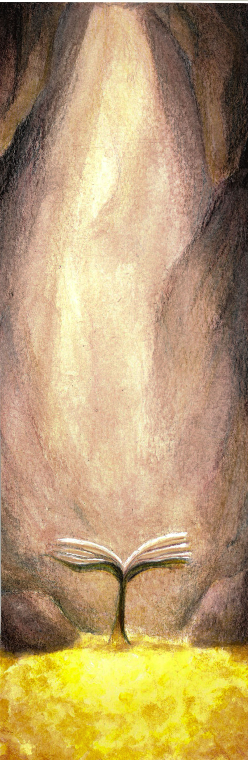 2016, 2d, book, cave, commentary, english_commentary, k.z.r, no_humans