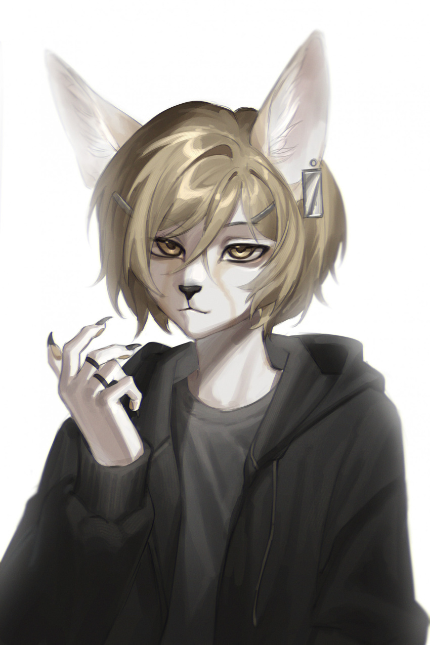 animal_ears, antro, blonde_hair, cat_ears, den99, fennec_fox, highres, yellow_eyes