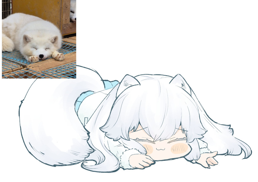 1girl, animal_ears, arctic_fox, arctic_fox_(kemono_friends), blush, capelet, coat, commentary_request