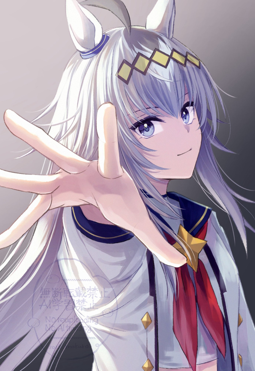 1girl, ahoge, animal_ears, blue_eyes, blue_sailor_collar, breasts, brooch, changmakura