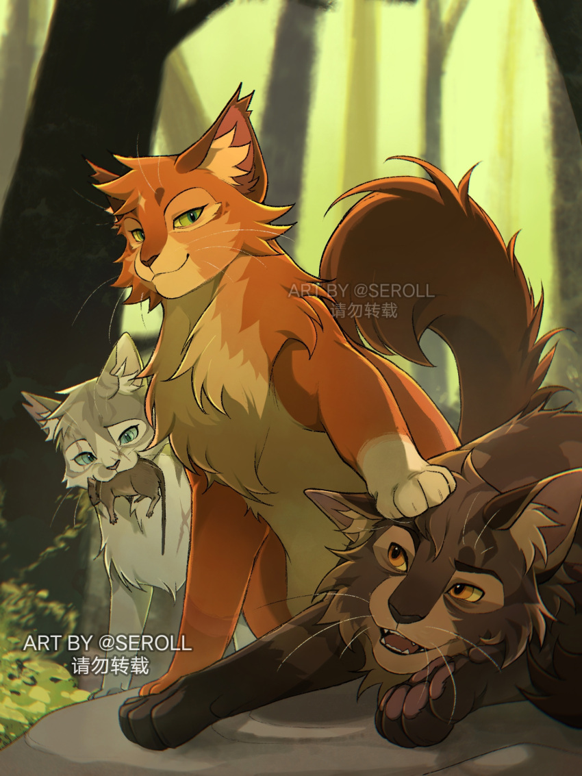 animal, animal_focus, blue_eyes, bramblestar, brown_cat, cat, chinese_commentary, commentary_request