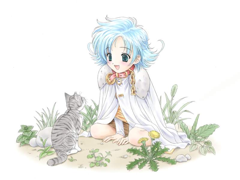 1girl, animal, animal_collar, aqua_eyes, armor, bad_id, blue_hair, brown_skirt, cat, cat_mecco, chain, cloak, collar, dai_(series), daiakuji, flipped_hair, flower, full_body, grass, grey_cat, kirin_(yakata), looking_at_animal, medium_hair, on_ground, open_mouth, plant, red_collar, shirt, shoulder_armor, sitting, skirt, smile, solo, wariza, white_cloak, white_shirt, yellow_flower