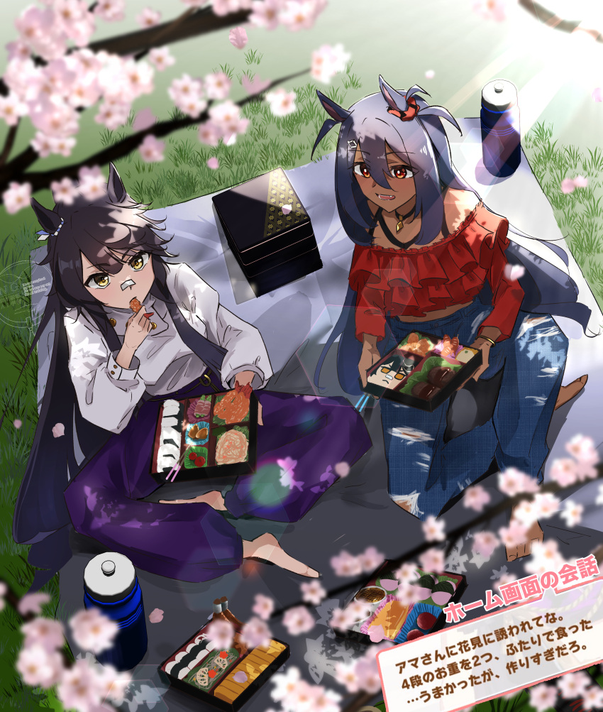 2girls, absurdres, animal_ears, bandaid, bandaid_on_face, bandaid_on_nose, bento, black_hair