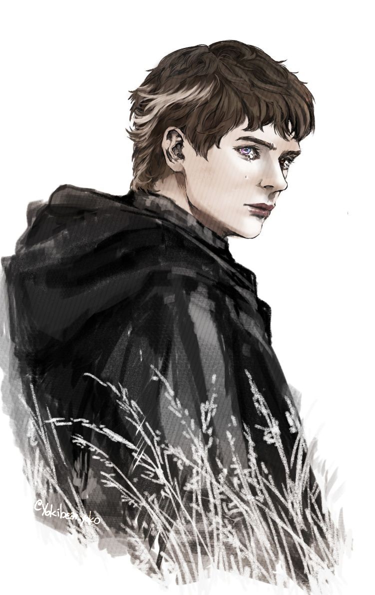 1boy, a_knight_of_the_seven_kingdoms, a_song_of_ice_and_fire, black_cloak, brown_eyes, brown_hair, cloak, closed_mouth