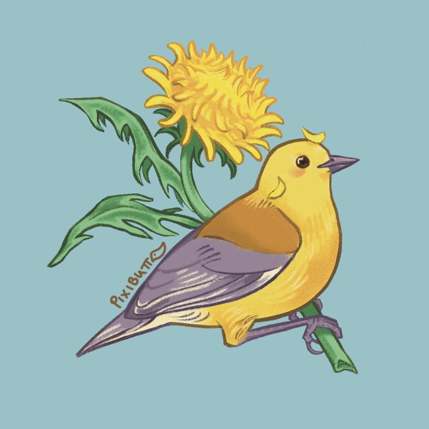 animal_focus, artist_name, bird, blue_background, dandelion, flower, highres, no_humans, original, pixibutt-art, procreate_(medium), simple_background, yellow_flower