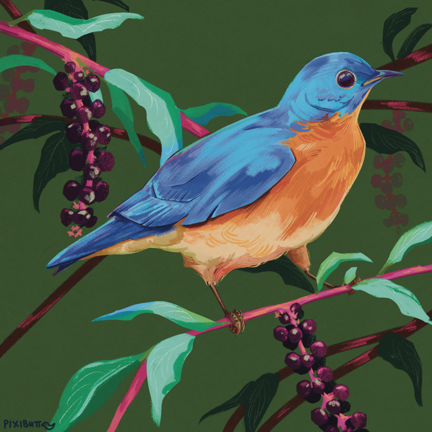animal_focus, artist_name, bird, green_background, highres, leaf, no_humans, original, pixibutt-art, procreate_(medium), simple_background, solo