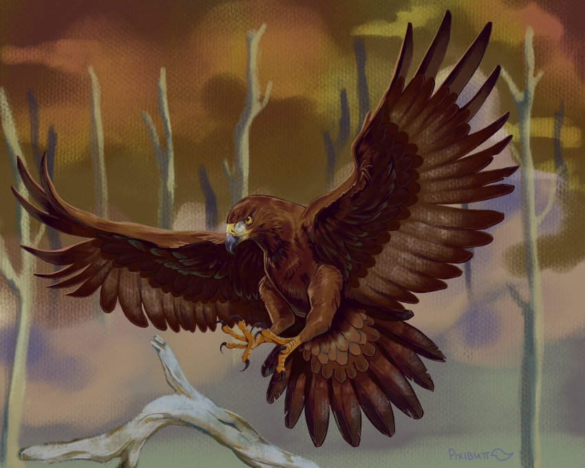 absurdres, animal_focus, bird, brown_bird, eagle, golden_eagle, highres, no_humans