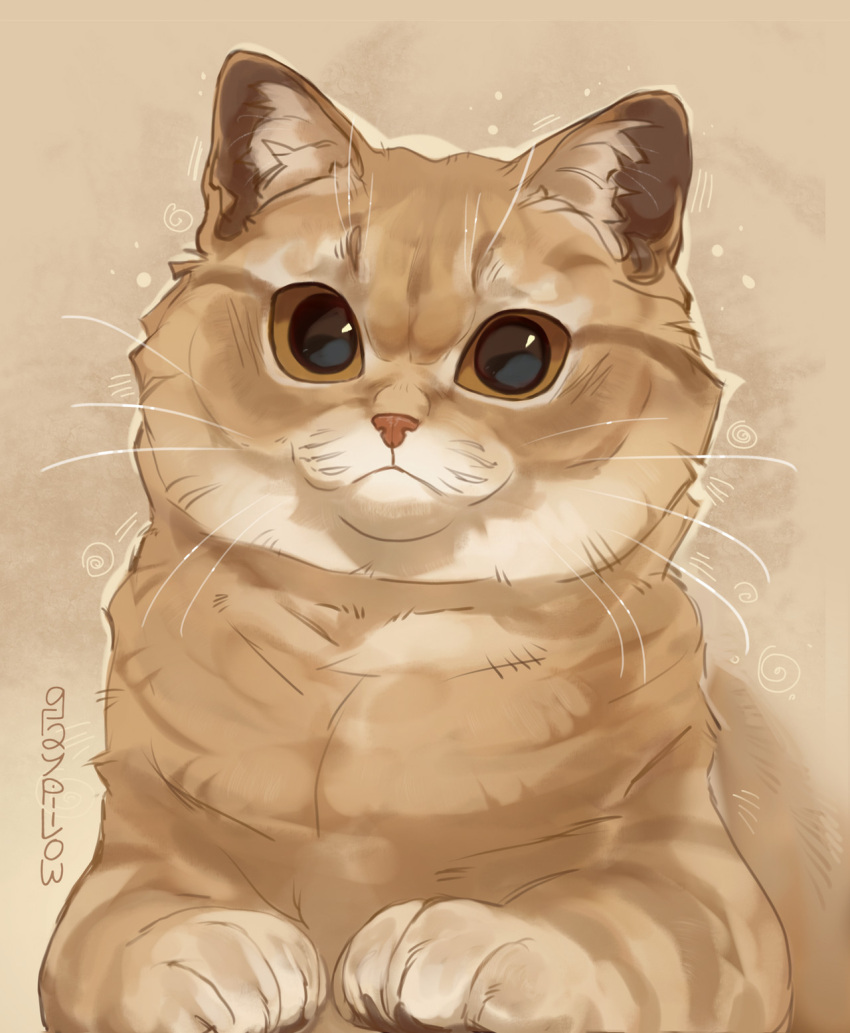 animal, animal_focus, british_shorthair, brown_eyes, cat, commentary, english_commentary, fluffy