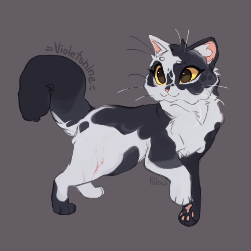 :3, a_vision_of_shadows, animal, animal_focus, artist_name, black_fur, cat, character_name