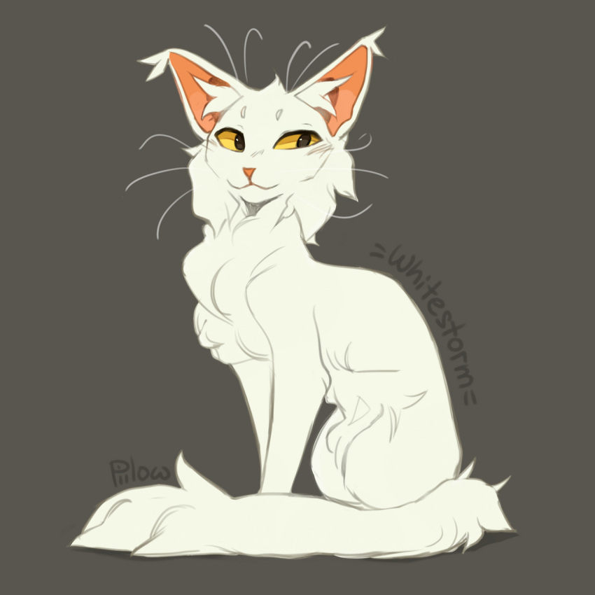 animal, animal_ear_fluff, animal_focus, artist_name, cat, character_name, commentary, ear_tufts