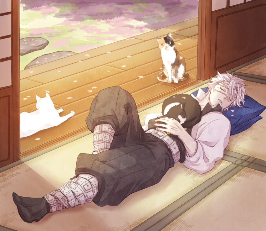 1boy, animal_on_chest, arm_at_side, belt, black_pants, black_socks, calico_(pattern), calico_cat