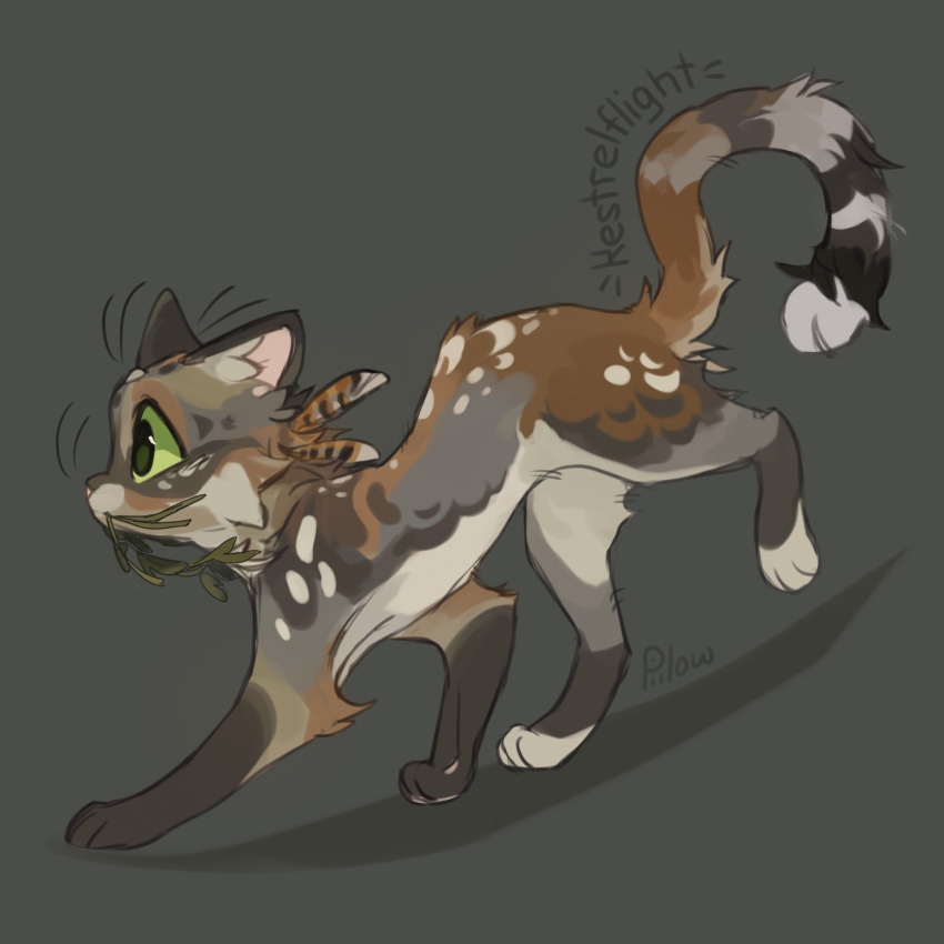 animal, animal_focus, artist_name, cat, character_name, commentary, english_commentary, feather_hair_ornament