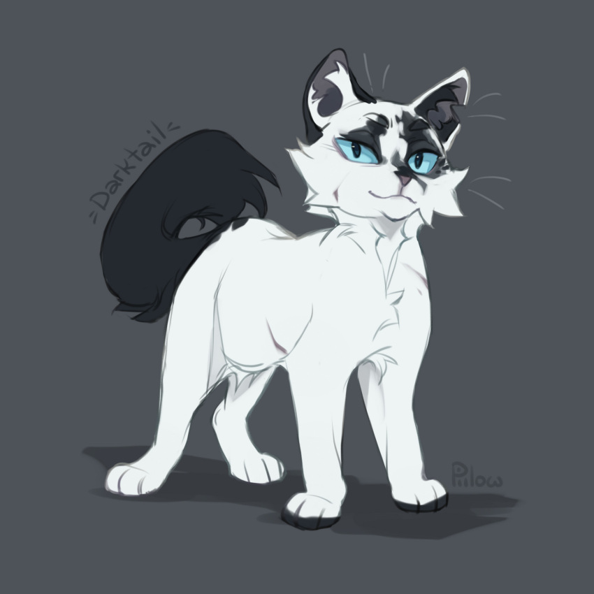 :3, a_vision_of_shadows, animal, animal_focus, artist_name, blue_eyes, cat, character_name, commentary, darktail, english_commentary, fluffy, full_body, graypillow, grey_background, highres, looking_at_viewer, no_humans, simple_background, solo, standing, tachi-e, warrior_cats, whiskers, white_cat