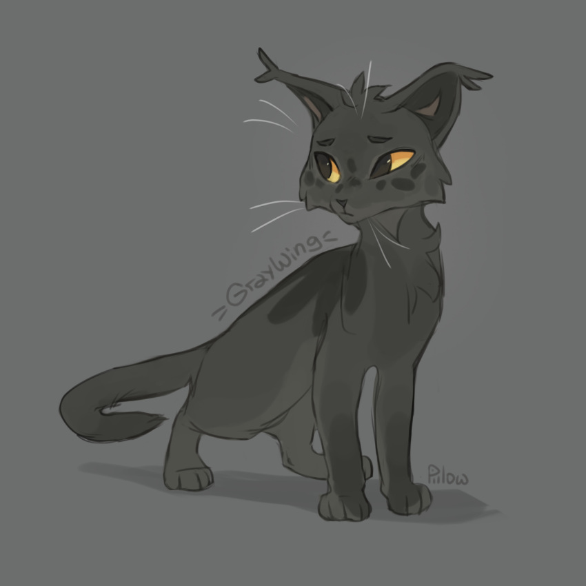 animal, animal_focus, artist_name, cat, character_name, commentary, dawn_of_the_clans, ear_tufts