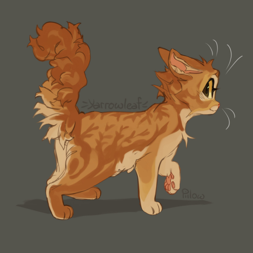 a_vision_of_shadows, animal, animal_focus, artist_name, brown_eyes, cat, character_name, colored_sclera, commentary, english_commentary, fluffy, fluffy_tail, from_behind, full_body, graypillow, highres, looking_at_viewer, looking_back, no_humans, simple_background, solo, tabby_cat, walking, warrior_cats, whiskers, yarrowleaf, yellow_cat, yellow_sclera