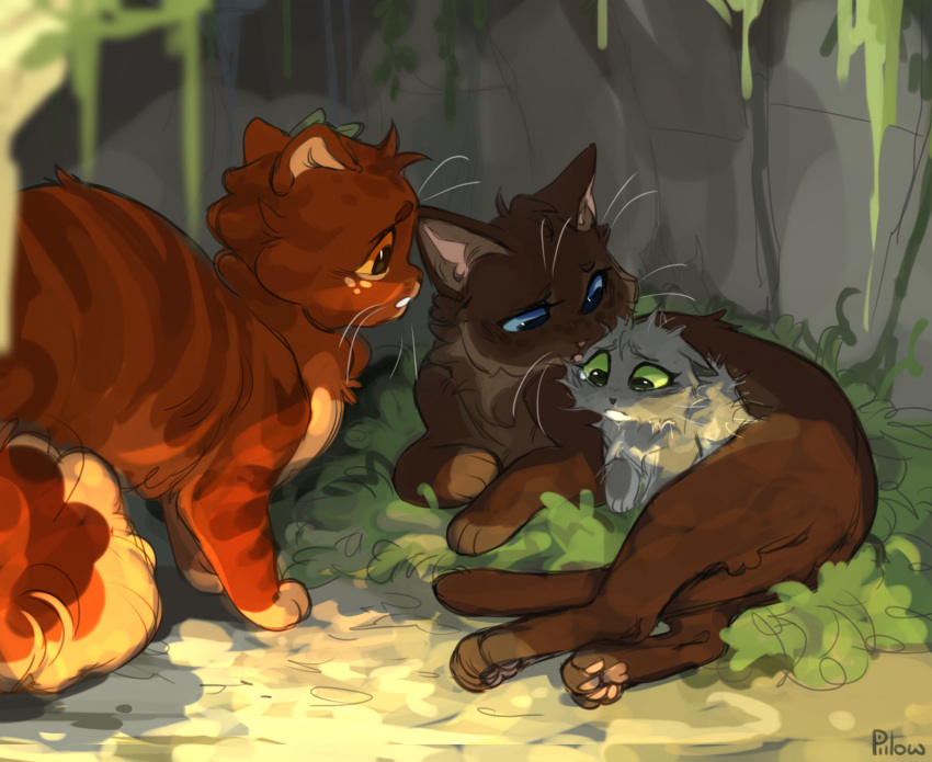 a_vision_of_shadows, alderheart, animal, animal_focus, baby_animal, blue_eyes, briarlight, brown_cat