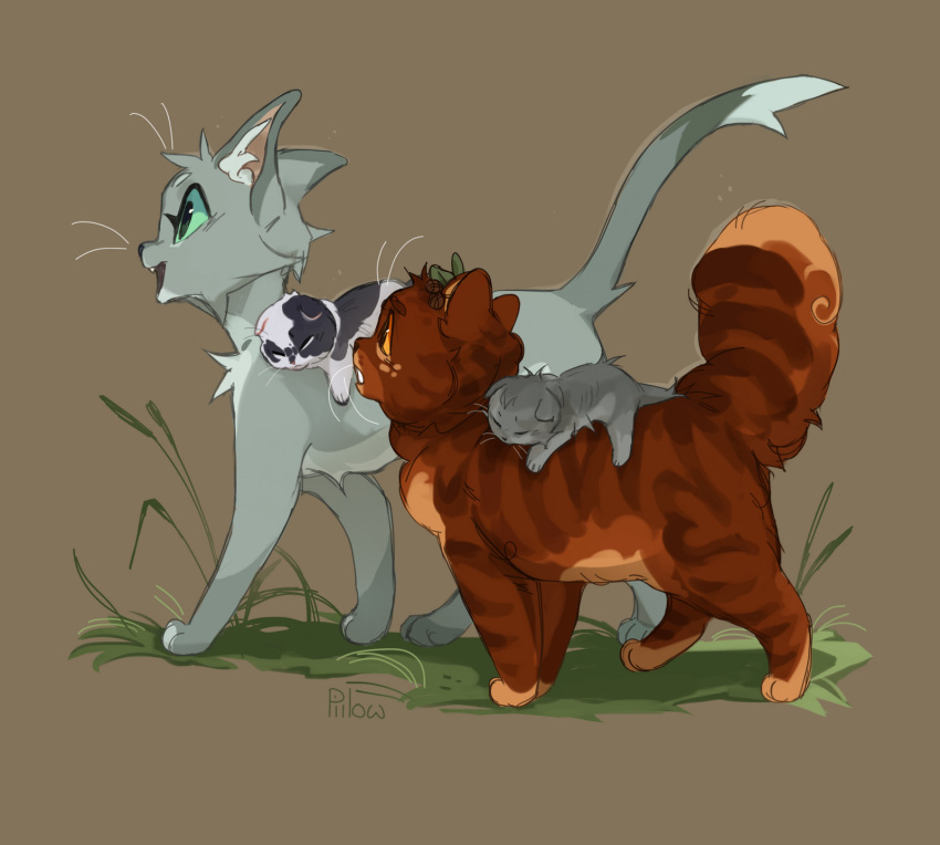 a_vision_of_shadows, alderheart, animal, animal_focus, baby_animal, brown_background, brown_cat, cat