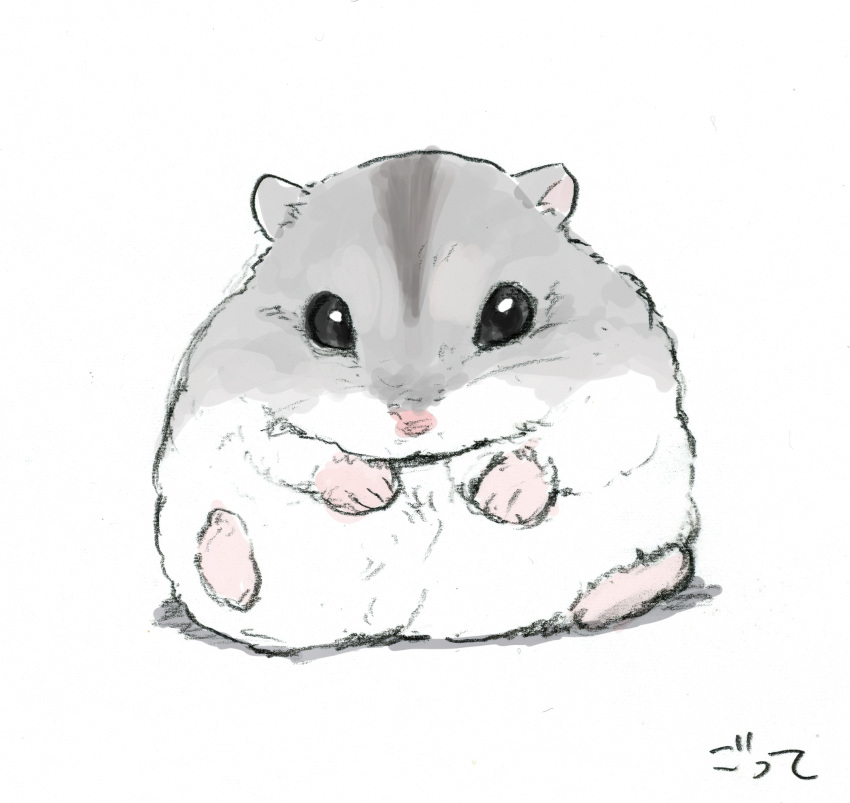 animal, animal_focus, artist_name, gotte, hamster, highres, looking_at_viewer, no_humans, original, simple_background, white_background