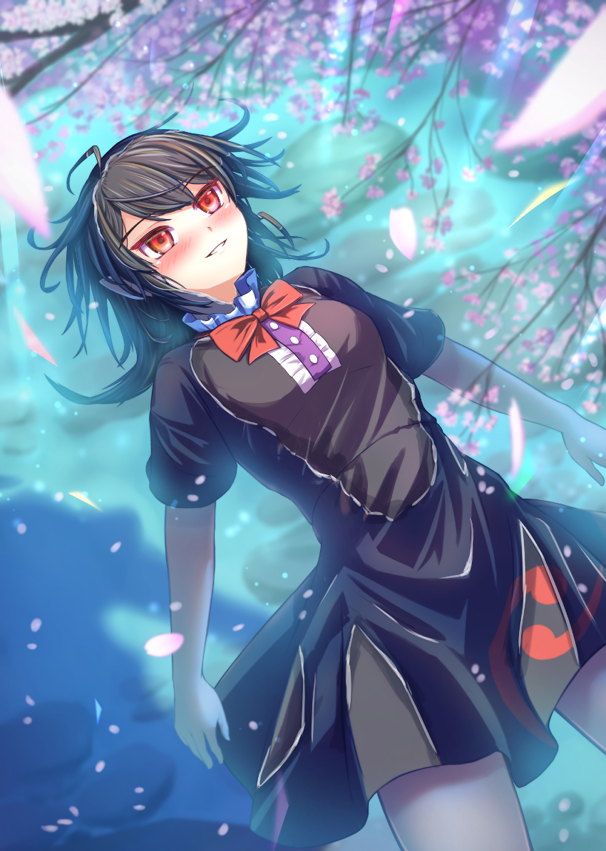 1girl, afloat, black_dress, black_hair, blush, bow, bowtie, breasts