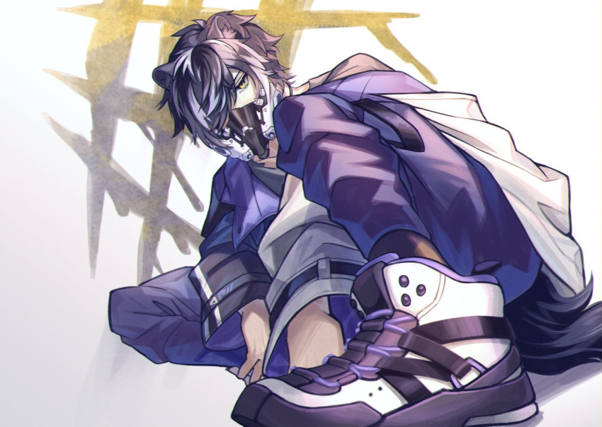 1boy, animal_ears, anmochi, black_hair, black_jacket, black_shirt, black_shoes, commentary_request, covered_mouth, foot_out_of_frame, graffiti, hair_over_one_eye, high_tops, holostars, jackal_boy, jackal_ears, jackal_tail, jacket, jitome, kageyama_shien, kageyama_shien_(4th_costume), long_sleeves, looking_at_viewer, male_focus, mask, multicolored_hair, multicolored_jacket, multicolored_shoes, official_alternate_costume, one_eye_covered, pants, purple_pants, respirator, shirt, shoes, short_hair, sneakers, solo, squatting, streaked_hair, tail, two-sided_fabric, two-sided_jacket, two-tone_hair, two-tone_jacket, two-tone_shoes, virtual_youtuber, white_background, white_hair, white_jacket, white_shoes, yellow_eyes