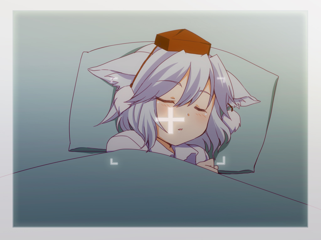 adaajt, animal_ears, blanket, closed_eyes, hat, inubashiri_momiji, photo, pillow