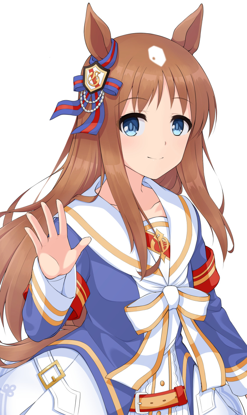 1girl, animal_ears, armband, blue_eyes, blue_jacket, blush, bow, brown_hair