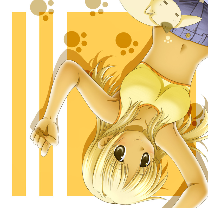 blonde_hair, breasts, cat, cleavage, denim, hidamari_sketch, long_hair, miyako, nashigami_tsubute, navel, paw_print, smile, sports_bra, tan, upside-down